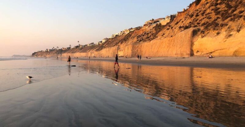 Solana Beach: Full Day Skimboard Rental - A Closer Look at the Skimboard Rental Experience  
