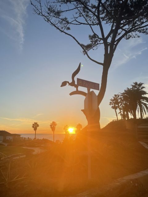 Solana Beach: Surfboard Rentals - FAQ