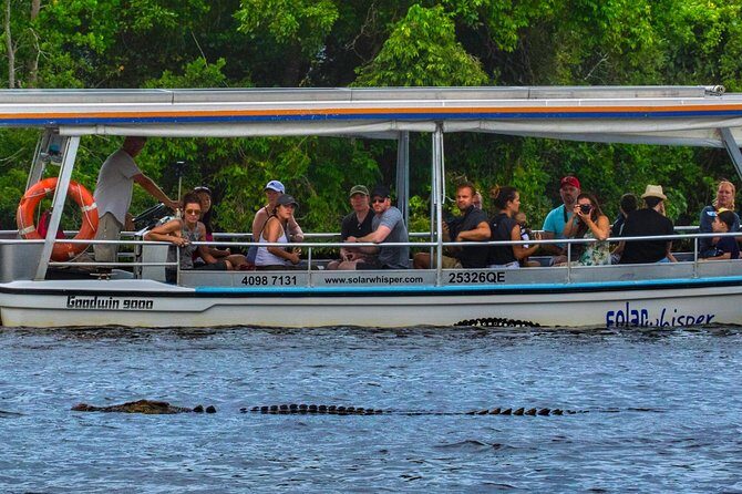 Solar Whisper Daintree River Crocodile and Wildlife Cruise - Why Choose This Tour?