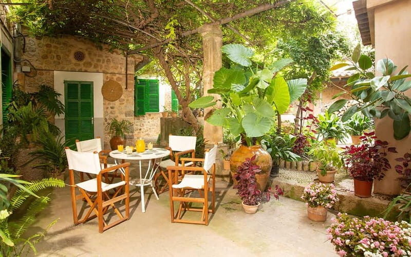Sóller: Olive Oil Guided Tour and Tasting at Can Det Estate - Key Points  