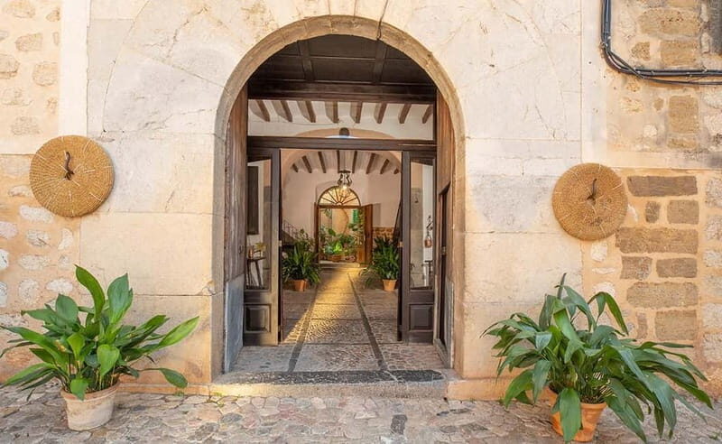 Sóller: Olive Oil Guided Tour and Tasting at Can Det Estate - Practical Details & Tips
