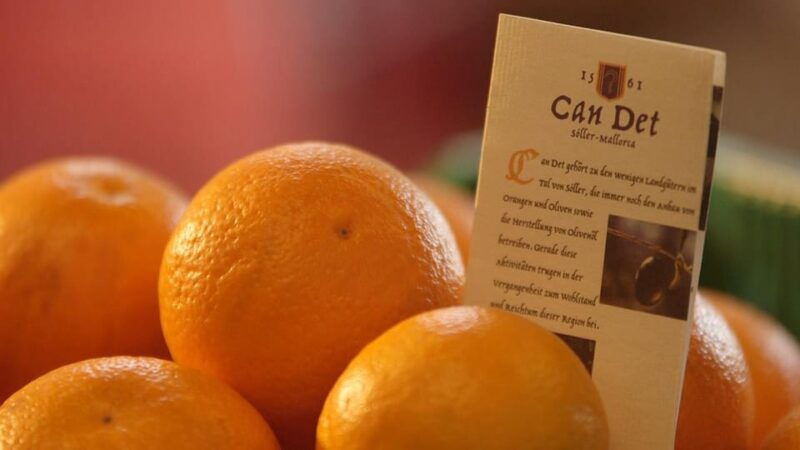 soller-olive-oil-tasting-and-brunch-at-can-det-estate