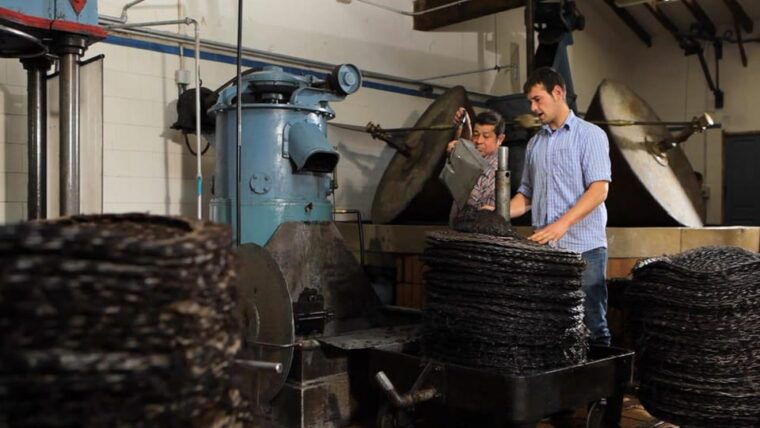 soller-olive-oil-tasting-and-brunch-at-can-det-estate