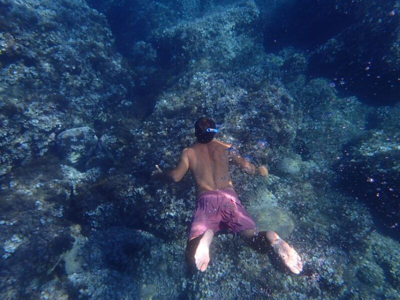 soller-sa-calobra-cala-tuent-speedboat-tour