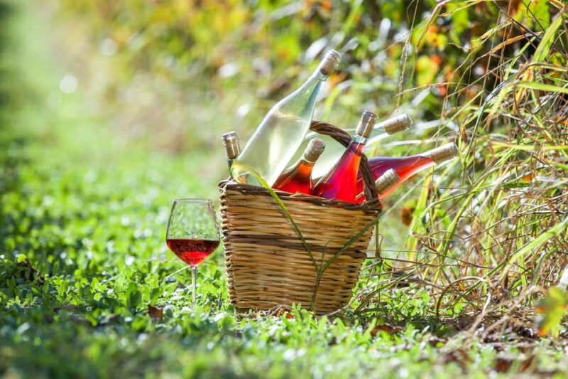 solvang-santa-ynez-valley-wine-tours-w-lunch-tastings