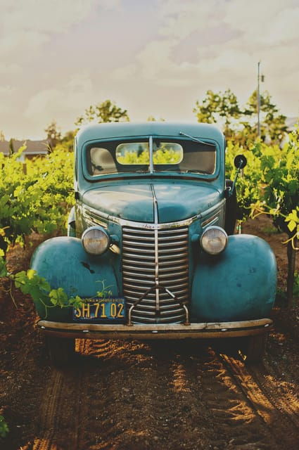 solvang-santa-ynez-valley-wine-tours-w-lunch-tastings