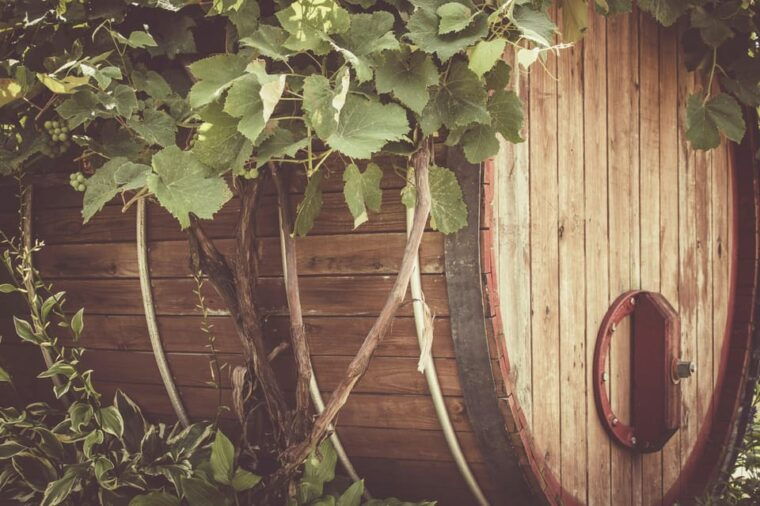 solvang-santa-ynez-valley-wine-tours-w-lunch-tastings