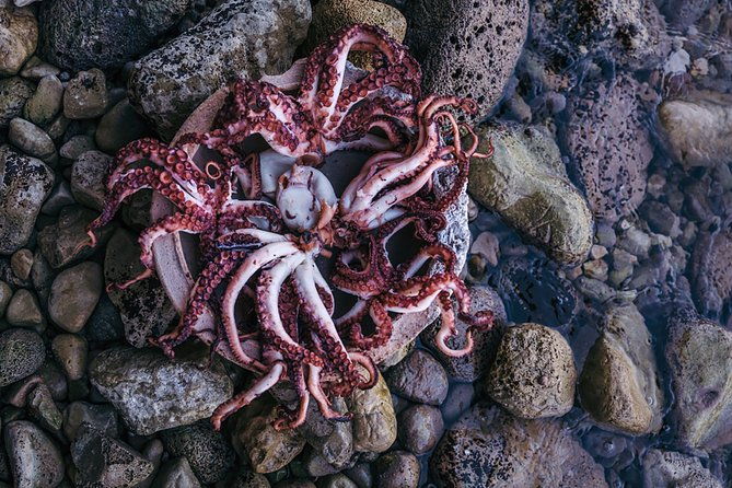somebody-feed-phill-gastro-tour-gverovic-orsan-2