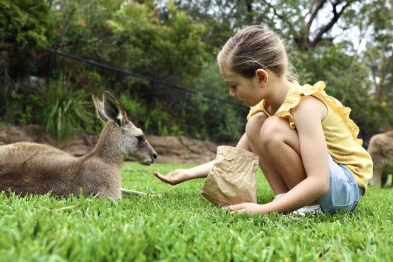 Somersby: Australian Reptile Park Day Pass - 9am to 5pm - Key Points