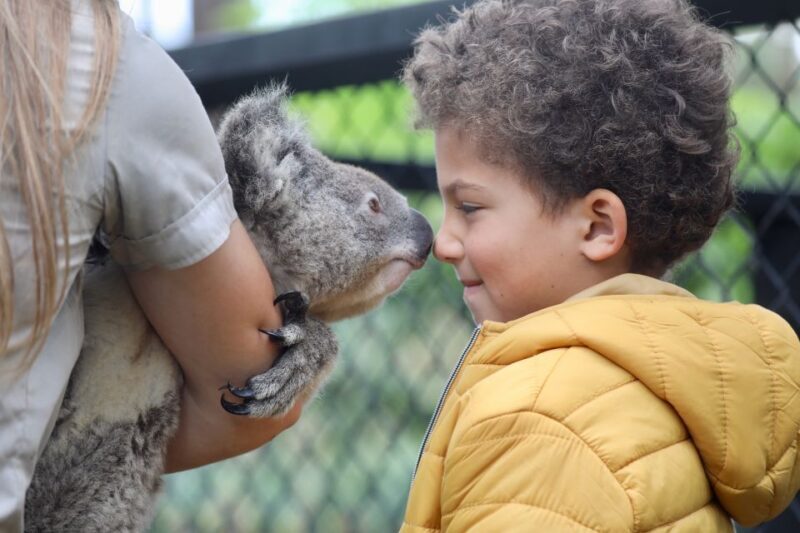 Somersby: Australian Reptile Park Day Pass - 9am to 5pm - The Practicalities: Is It Worth the Price?