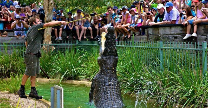 Somersby: Australian Reptile Park Day Pass - 9am to 5pm - Authentic Experiences Shared by Visitors