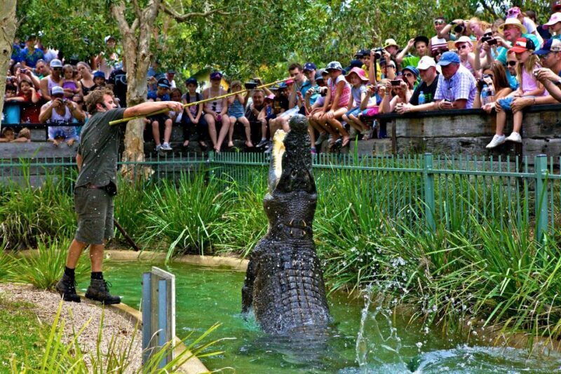 Somersby: Australian Reptile Park Day Pass - 9am to 5pm - Who This Experience Suits Best