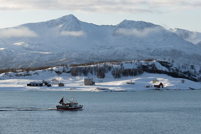 sommaroy-arctic-day-trip
