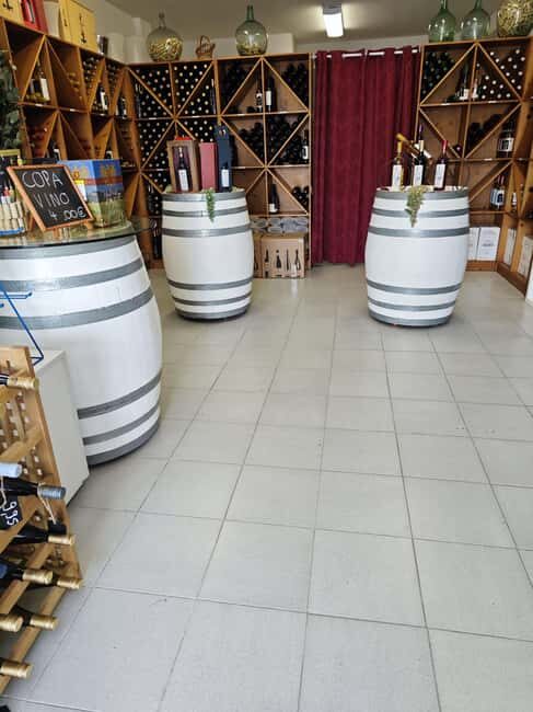 Son Cavaller - Tasting wines from Mallorca - Wine shop Cala Mandia - Key Points