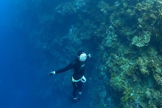 Son Tra Snorkeling Adventure with traditional boat - A quick look at the Son Tra Snorkeling Adventure
