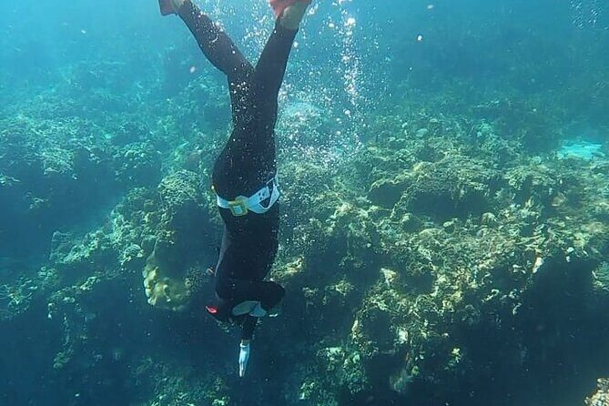 Son Tra Snorkeling Adventure with traditional boat - Who Would Love This Tour?