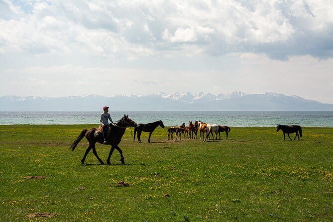 Song Kol Horse Trek Adventure - Discovering the Kyrgyz Wilderness: An In-Depth Review