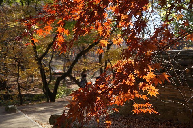 Songnisan National Park & Beopjusa Temple UNESCO site Private Tour - Final Thoughts: Who Will Love This Tour?