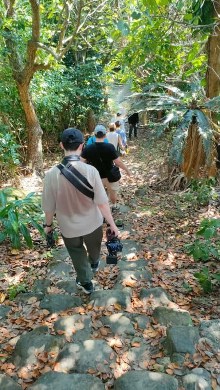 Songs Beneath the Stars on Okinawas 65-Person Hidden Island - Who Is This Tour Best For?