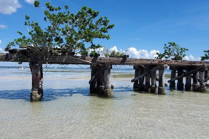 sonnys-boat-tours-full-day-sand-bar-adventure-englewood-florida