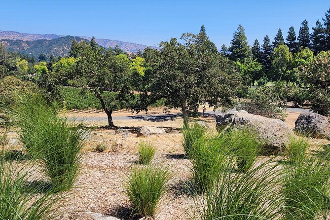 sonoma-and-napa-champagne-wine-private-tour-half-day