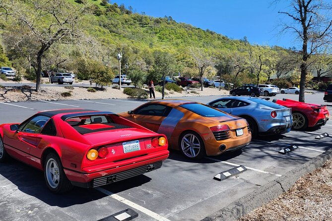 sonoma-and-napa-champagne-wine-private-tour-half-day