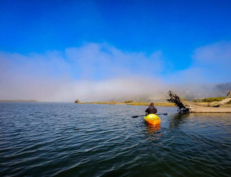sonoma-coast-russian-river-kayak-tour