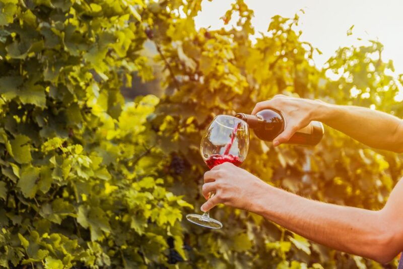 sonoma-county-tasting-pass-choose-1-2-or-90-days