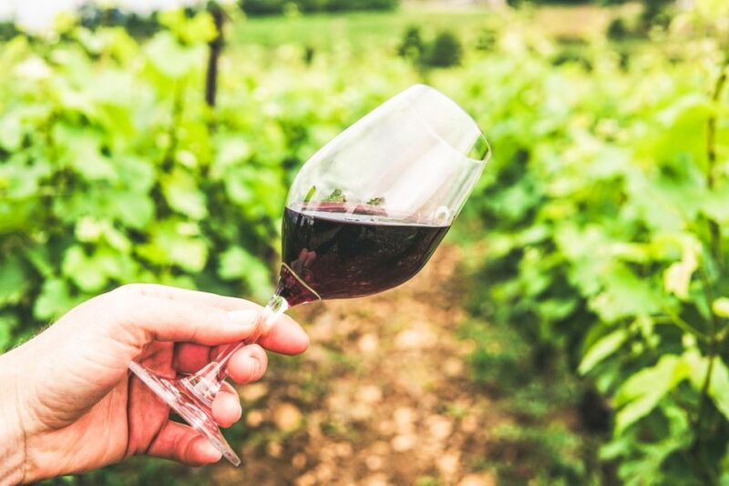 sonoma-county-tasting-pass-choose-1-2-or-90-days