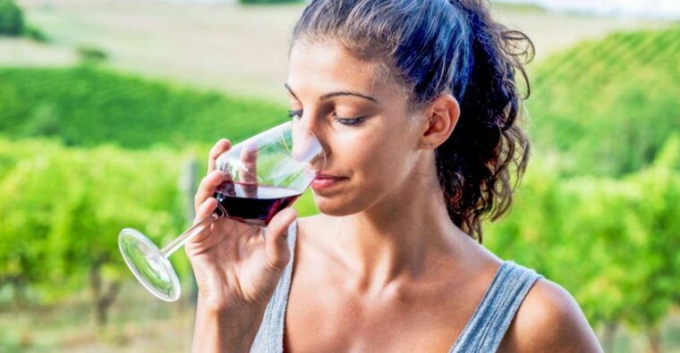 sonoma-county-tasting-pass-choose-1-2-or-90-days