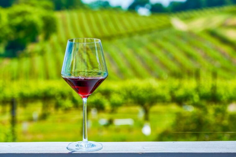 sonoma-county-tasting-pass-choose-1-2-or-90-days