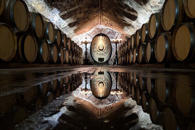 Sonoma County Wine Segway Tour - The Value of the Experience