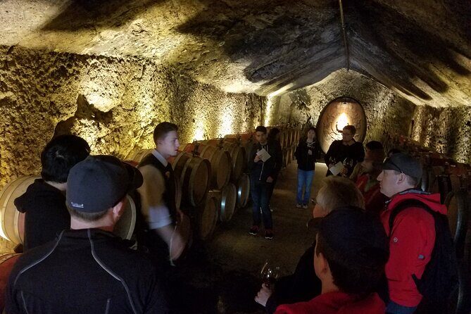 Sonoma County Wine Segway Tour - Final Thoughts