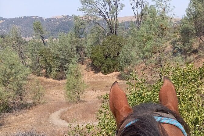 Sonoma Horseback-Riding Tour - The Experience Breakdown: What You Can Expect