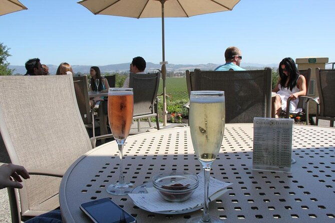 sonoma-napa-8-hr-private-wine-tour-with-customization-xl-suv