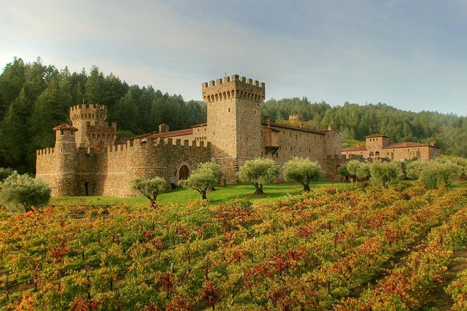 sonoma-napa-8-hr-private-wine-tour-with-customization-xl-suv