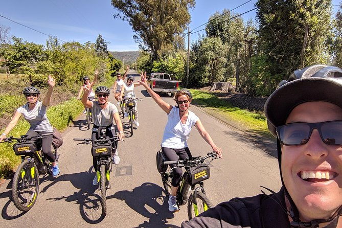 sonoma-valley-pedal-assist-bike-tour