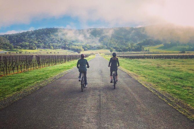Sonoma Valley Pedal Assist Bike Tour with Lunch - An Overview of What to Expect