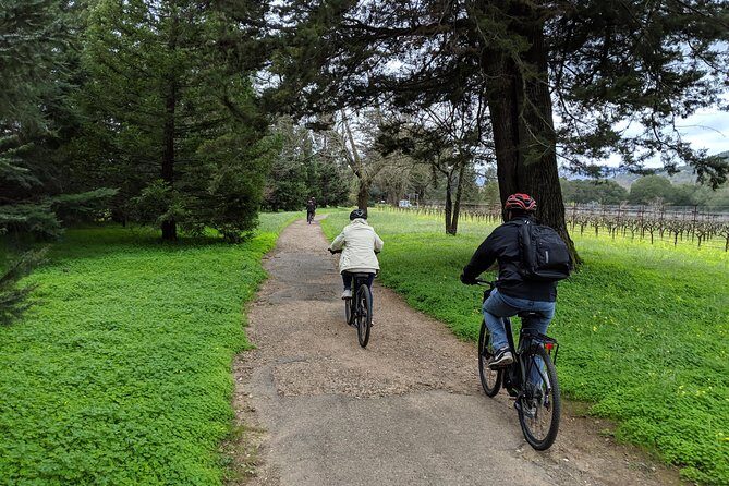 Sonoma Valley Pedal Assist Bike Tour with Lunch - Practical Considerations and Value
