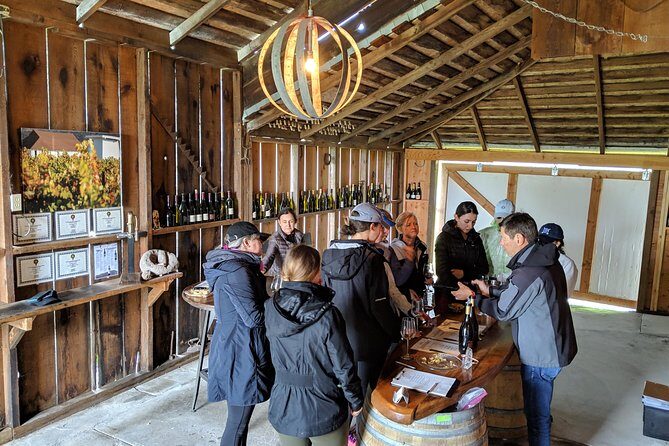 Sonoma Valley Pedal Assist Bike Tour with Lunch - Who Is This Tour Best For?