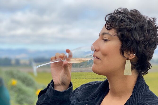 sonoma-valley-sidecar-wine-tours