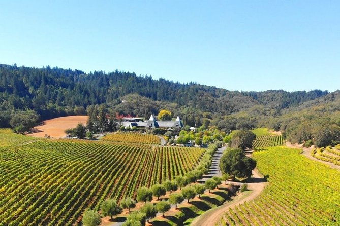 sonoma-valley-wine-country-custom-tour