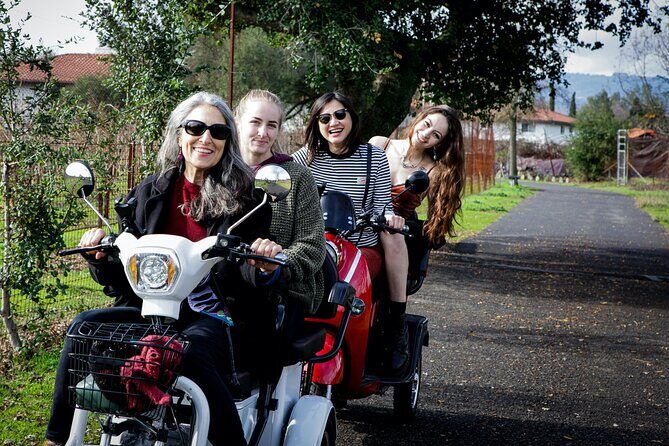 Sonoma Wine Country Electric Trike Tour - 3 hours - The Experience in Detail