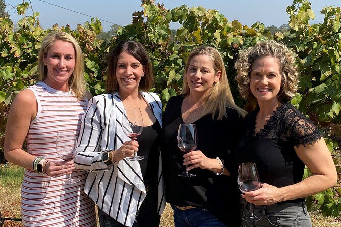 Sonoma Wine Rides: Sonoma County Join-In Group Wine Tasting Tours - Key Points