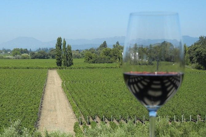 sonoma-wine-tour-with-2-tastings-included-small-group-half-day