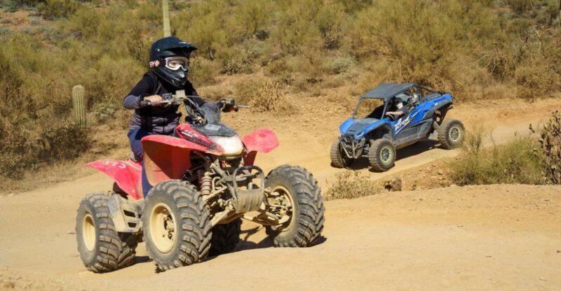 Sonoran Desert: Guided UTV or ATV Desert Tour - A Deep Dive into the Sonoran Desert UTV/ATV Tour