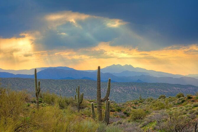 sonoran-desert-jeep-tour