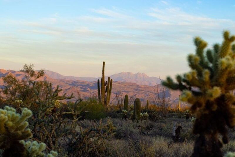 sonoran-desert-sunset-jeep-tour-with-tonto-national-forest
