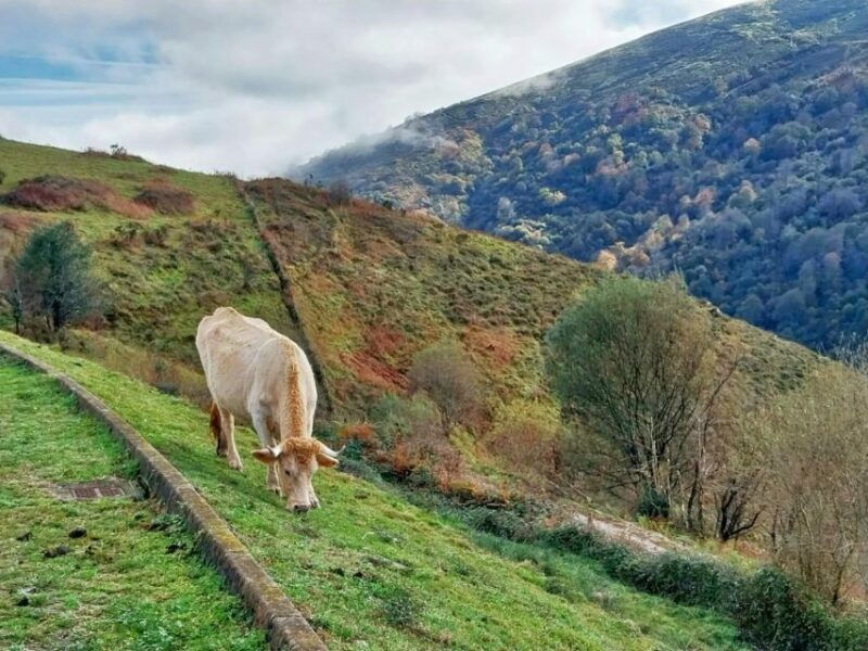 soplao-cave-excursion-from-santander-or-torrelavega