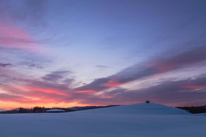 Sopporo: Hokkaido Shrine and Atama Daibutsu Full-Day Tour - Key Points